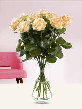 10 salmon-coloured roses - Avalanche Peach