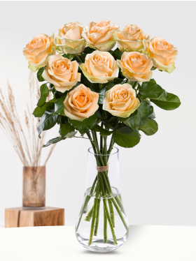 10 salmon-coloured roses