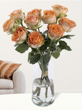 10 salmon coloured roses from Ecuador