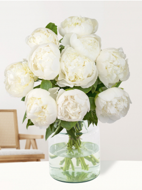 10 white peonies