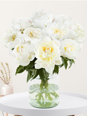 10 white peonies