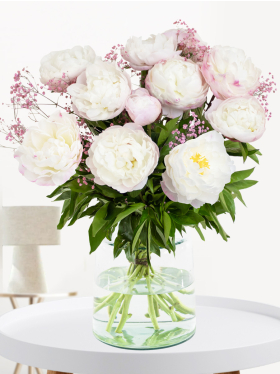 10 white-pink peonies with gypsophila