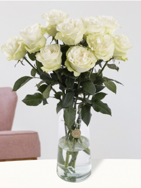 10 white roses from Ecuador