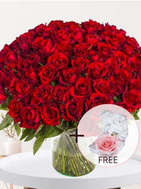 100 red roses