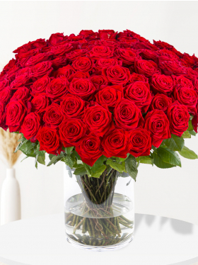 100 red roses - Red Naomi