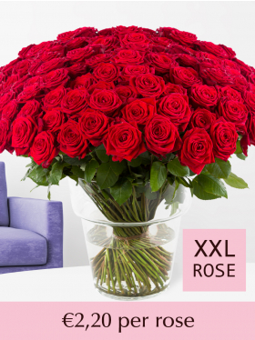 100 to 499 red roses - Red Naomi