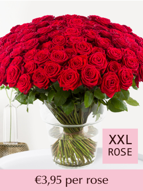 100 till 499 red roses - Red Naomi