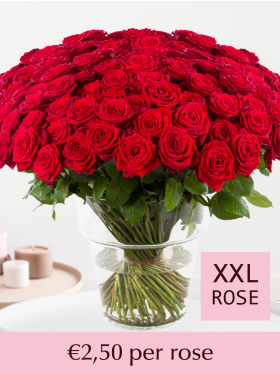 100 till 499 red roses - Red Naomi