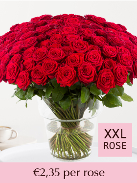 100 till 499 red roses - Red Naomi