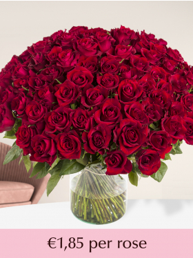 100 till 499 red roses - EverRed
