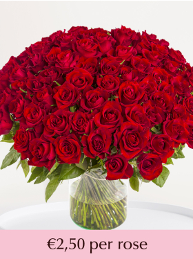 100 till 499 red roses - EverRed