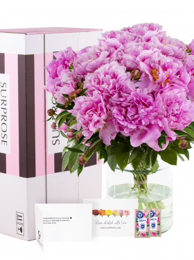 15 hard pink peonies