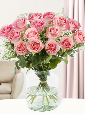 15 pink roses with gypsophila