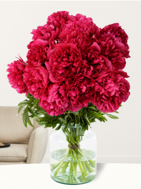 15 red peonies