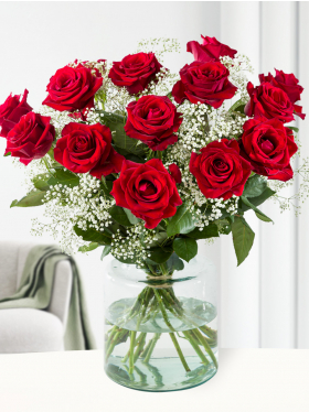 15 red roses with gypsophila