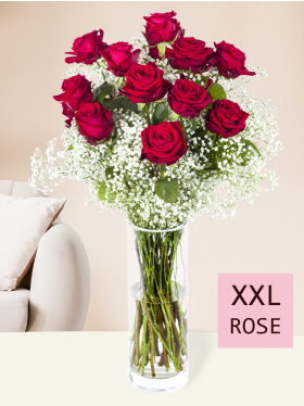 15 red roses with gypsophila (XXL)