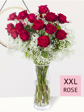 15 red roses with gypsophila - XXL