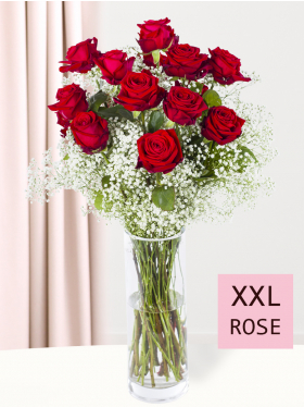 15 red roses with gypsophila - XXL