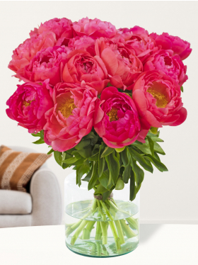 15 salmon-coloured peonies