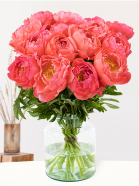 15 salmon-coloured peonies