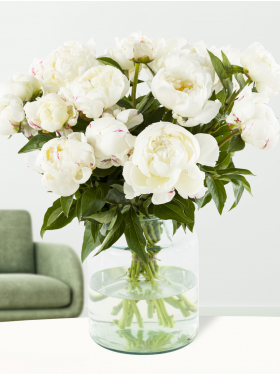 15 white peonies