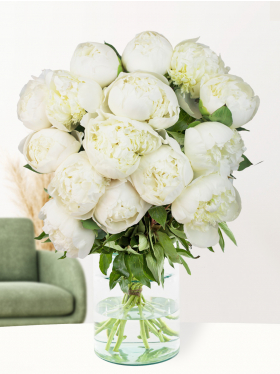 15 white peonies