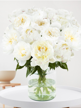 15 white peonies