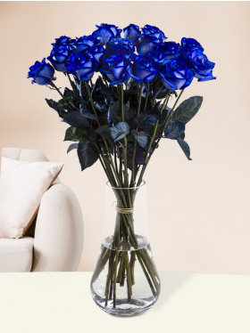 20 blue roses