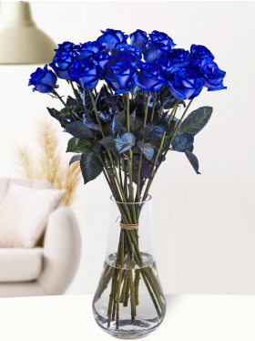 20 blue roses