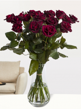 20 deep red roses - Black Baccara