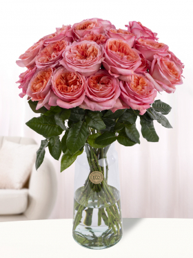 20 pink roses from Ecuador