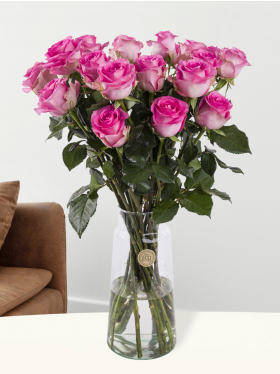 20 pink roses