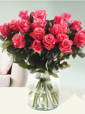 20 pink Tacazzi roses
