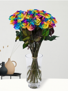 20 rainbow roses