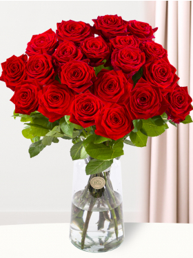 20 red roses - Red Naomi