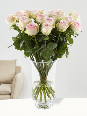 20 soft pink roses - Sweet Revival