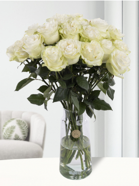 20 white roses from Ecuador