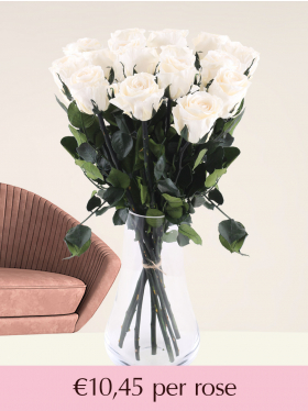 21 till 50 cream-coloured long life roses