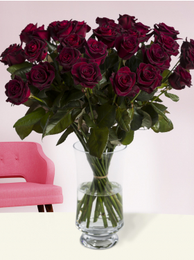 30 deep red roses - Black Baccara