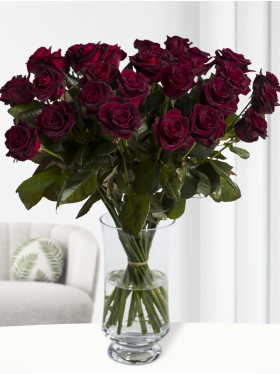 30 deep red roses - Black Baccara