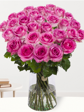 30 pink roses
