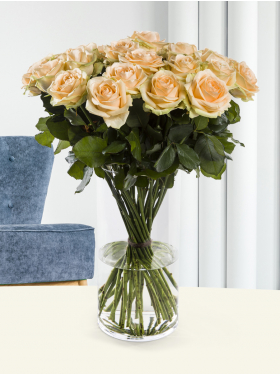 30 salmon-coloured roses - Avalanche Peach