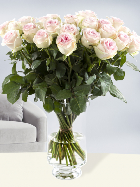 30 soft pink roses – Sweet Revival