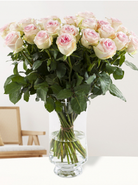 30 soft pink roses - Sweet Revival