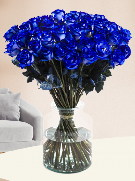 50 blue roses