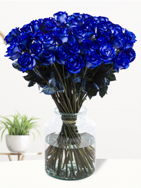 50 blue roses