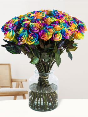 50 rainbow roses