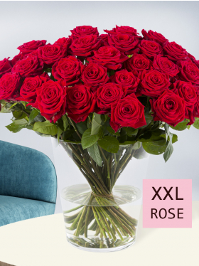 50 red roses - Red Naomi