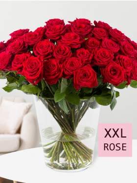 50 red roses - Red Naomi