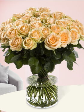 50 salmon-coloured roses - Avalanche Peach